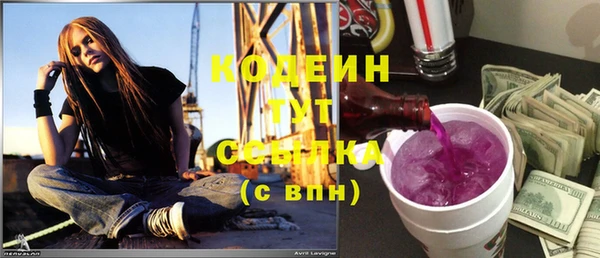 стаф Семилуки