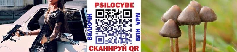 Купить  Серафимович  Галлюциногенные грибы мухоморы 